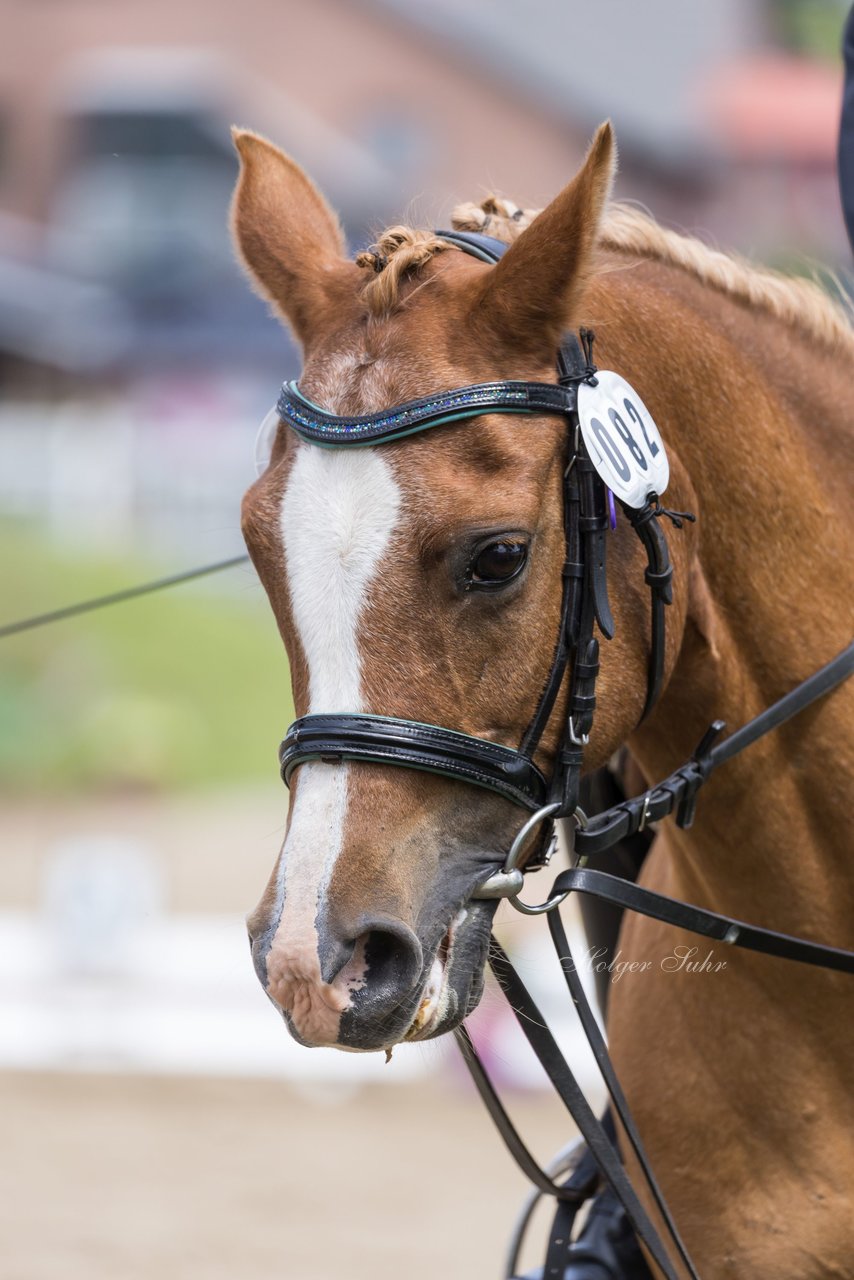 Bild 152 - Pony Akademie Turnier